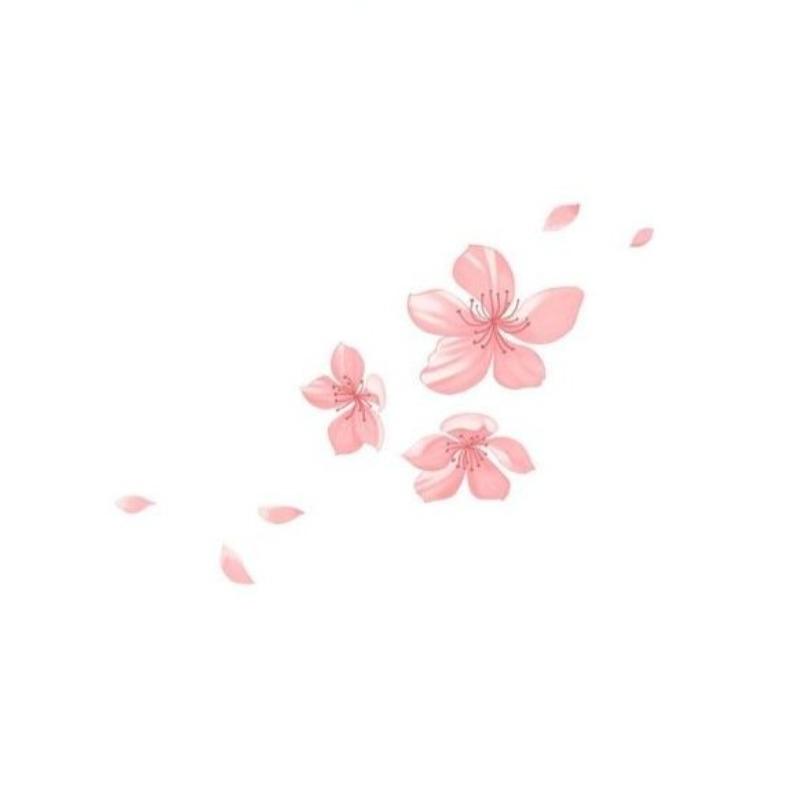 Autocollant Fleurs Sakura Voiture | MJ FRANKO